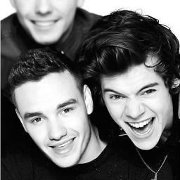please follow @princesslimpy and @cuppaharry we will try and follow everyone back :)