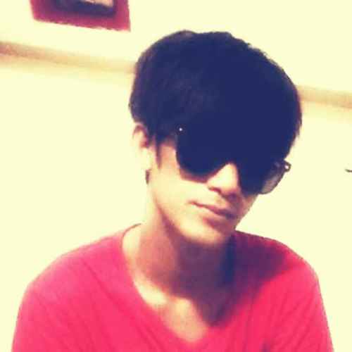 km kaya anjing yd di twit