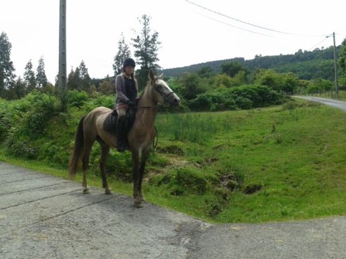 TkmPauli's profile picture. 