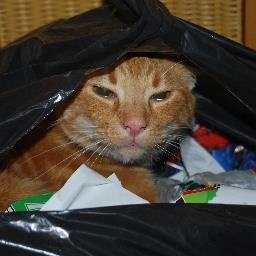 Cliffordod619's profile picture. 