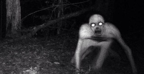 Enter the woods at your own risk! I love psycho bunnies:) You try to kill me and ill fucking rip you apart:) Beware I'm the creature of the forest! #NIGHTMARE$
