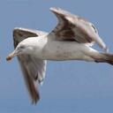 Stephen DuCharme - @airmdhvac - Twitter