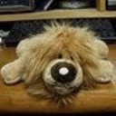 Candy Odom - @CandyOdom10 - Twitter