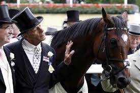 Used to Share Tips and inside knowledge with joe bunn, we had a goos strike rate. hes not well so im here to give the bookies a bashing!! BOOM