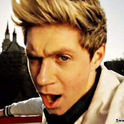 What's a twitter? I want one! | Directioner | Larry is so beautiful, they make you wanna cry! | L0/5er | I follow back!