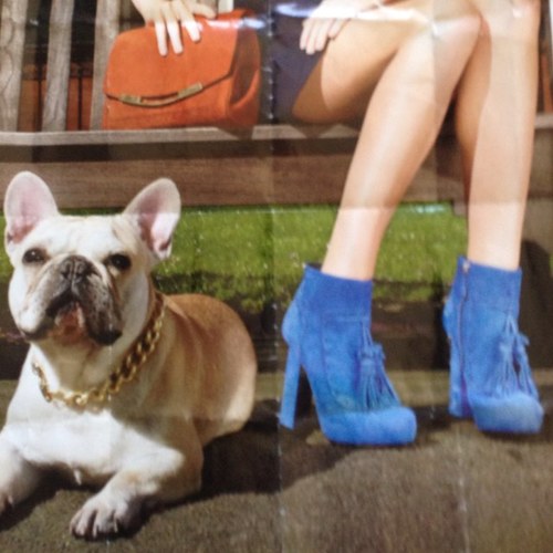 Bon_Marshe's profile picture. 