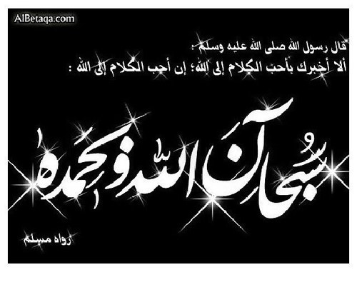 ربي أن والداي في ذمتك وحبل جوارك ربي أغفر لهما وأنس وحشتهما وأجعل قبرهما روضة من رياض الجنه وأمواتنا وأموات  المسلمين ...آمين ( ربِ أرحمهما كما ربياني صغيرا)