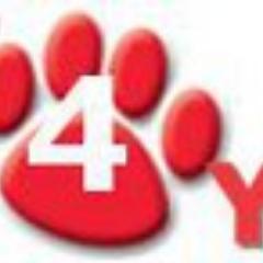 Loja de animais online!
