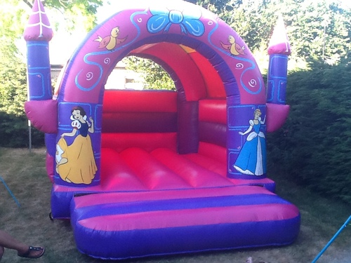 Providing Professional Inflatable Hire Throughout Essex and Surrounding Areas
07926 528 942