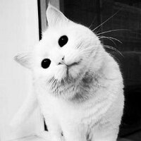 Marckus (@soul_evaporate) 's Twitter Profile Photo