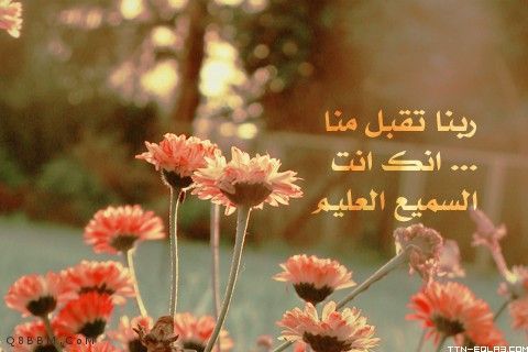مسلم محب للجميع وعضو في المجتمع الإنساني  ومن سكان المدينة النبويه علي نبينا أفضل الصلاة واتم التسليم
