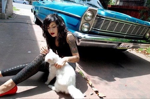 Cats are cool.