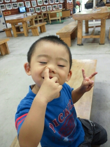 toshiwaka_com's profile picture. 百の舌を持つモズ。人生は二者択一。