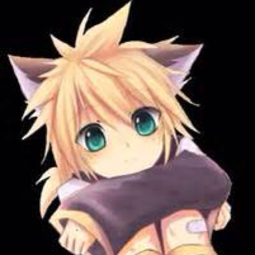 hi its me len rins twin you may tweet me at any time as long as im on #bisexual