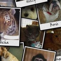JCS Livestock (@jcslivestock) 's Twitter Profile
