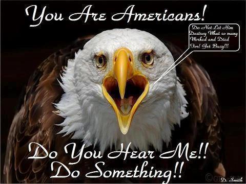 Question Authority...Think For Yourself