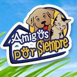 Exposición de productos y servicios para su mascota | 31 Octubre a 3 de Noviembre, Terraza Acuario del Sambil | Otro evento más de @interexpos