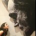 Paula Cuddihy (@paulacuddihy) Twitter profile photo Paula Cuddihy (@paulacuddihy) Twitter profile photo