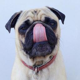AAmor_SSincero Profile Picture