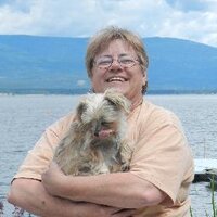Laura Schauff (@lschauff) 's Twitter Profile