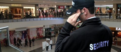 ArrangeSecurity's profile picture. 