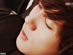 ONLY SUPER JUNIOR  ♡  Sorry not FollowBack ☺