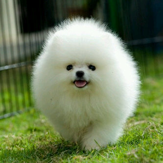 Susi_wan's profile picture. 28D7FB8D