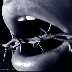 lydhier's profile picture. SOY ... Y ES LO QUE CUENTA.