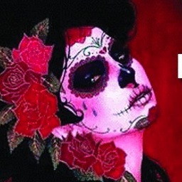 IKnowit333's profile picture. Hi there!