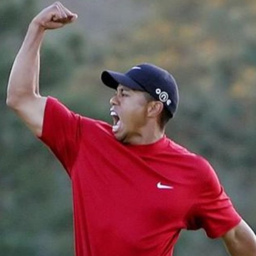 moosezzatti's profile picture. Leafs, Jays, and The PGA.