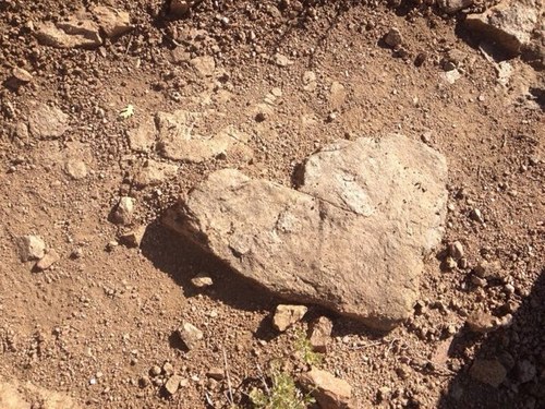 lucky13x2's profile picture. 