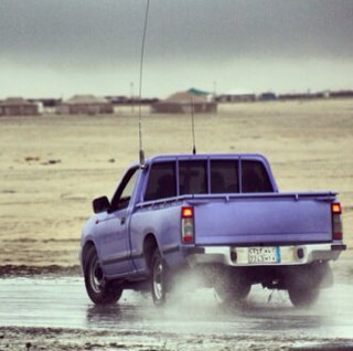 MyabodHsgjs's profile picture. 