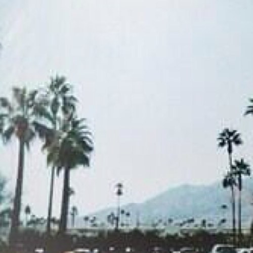free follow because you deserve to reach your goal. please follow @simplymelodi & help her reach her goal, it would mean so much. x