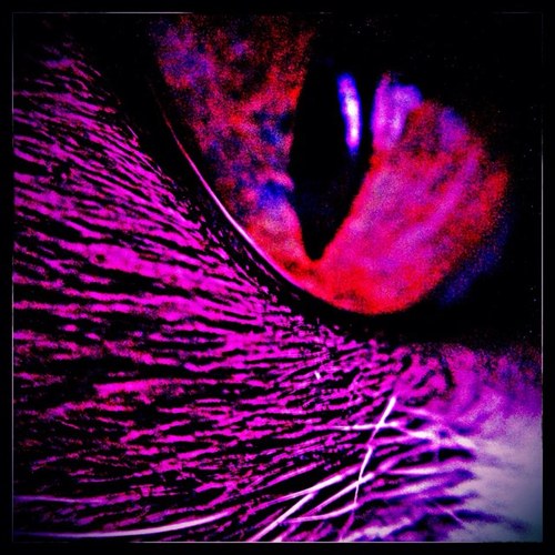 dkjohnson75's profile picture. 