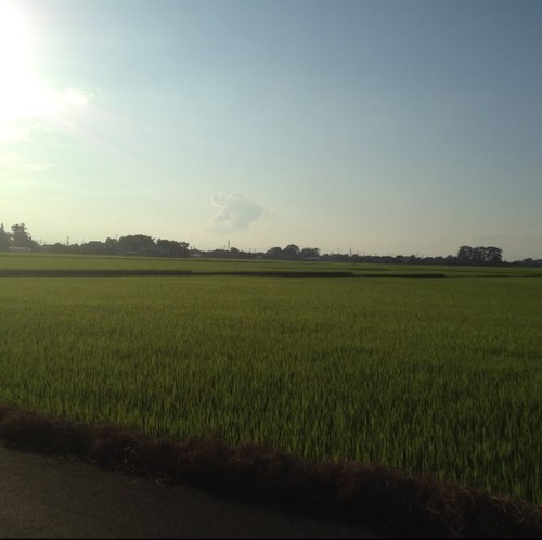 はじめまして。野菜好きのサラリーマンです。体を動かすのが好きで、たまにサーフィンなんかもやったりしています。最近ネットビジネスに興味をもち改めてツイッターをはじめました。よかったらフォローお願いします。