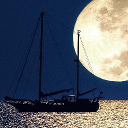 RoohyLeek12's profile picture. 