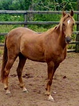 sj05063's profile picture. 