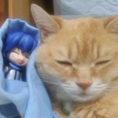 猫と青い兄さんと居るのが幸せ