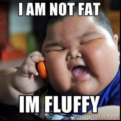 fat people problems thosefatties