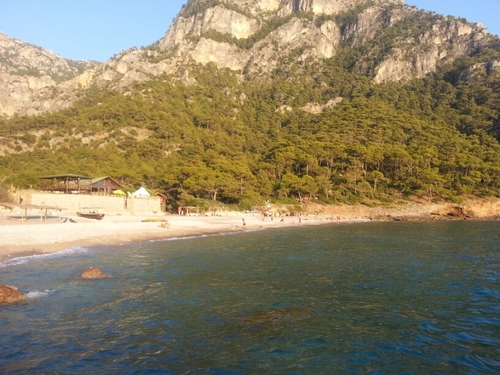 cerenbulgan's profile picture. 