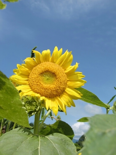 saori1190's profile picture. 