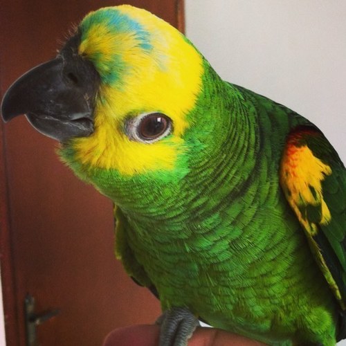 143Lips's profile picture. 