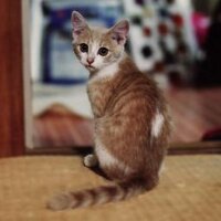 Mix Up! 写真とグラフィックのグループ展 (@mix_up2000) 's Twitter Profile Photo