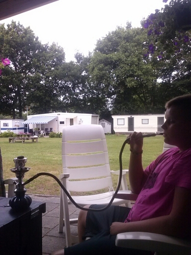 RenzoVredenborg's profile picture. B.C.A