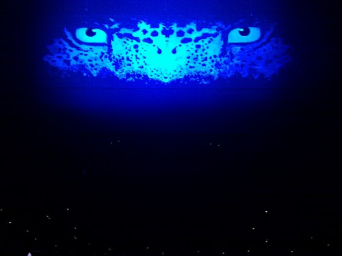 CarlosRicy's profile picture. Oi! Oi! Oi!