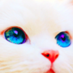 baekwhy's profile picture. eccedentesiast | personal acc