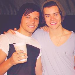 Forever and always directioner ~ dutch ~ 16 years old ~ Larry-Shipper ღღ