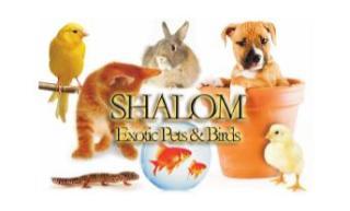 No Yahuah No Shalom Know Yahuah Know Shalom