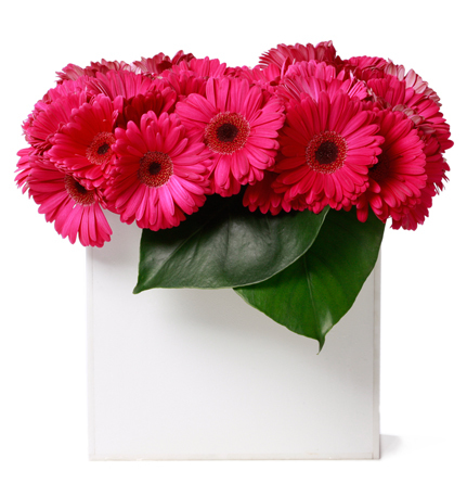 ::Wholesale and Flower Imported::
::Wedding Decoration::
Jl.wastukencana blok C9.bandung
cp: 081322419156
http://t.co/LzAhPuBFuC