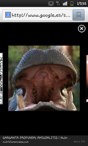 jorge_f_l's profile picture. de mayor quiero ser...trending topic